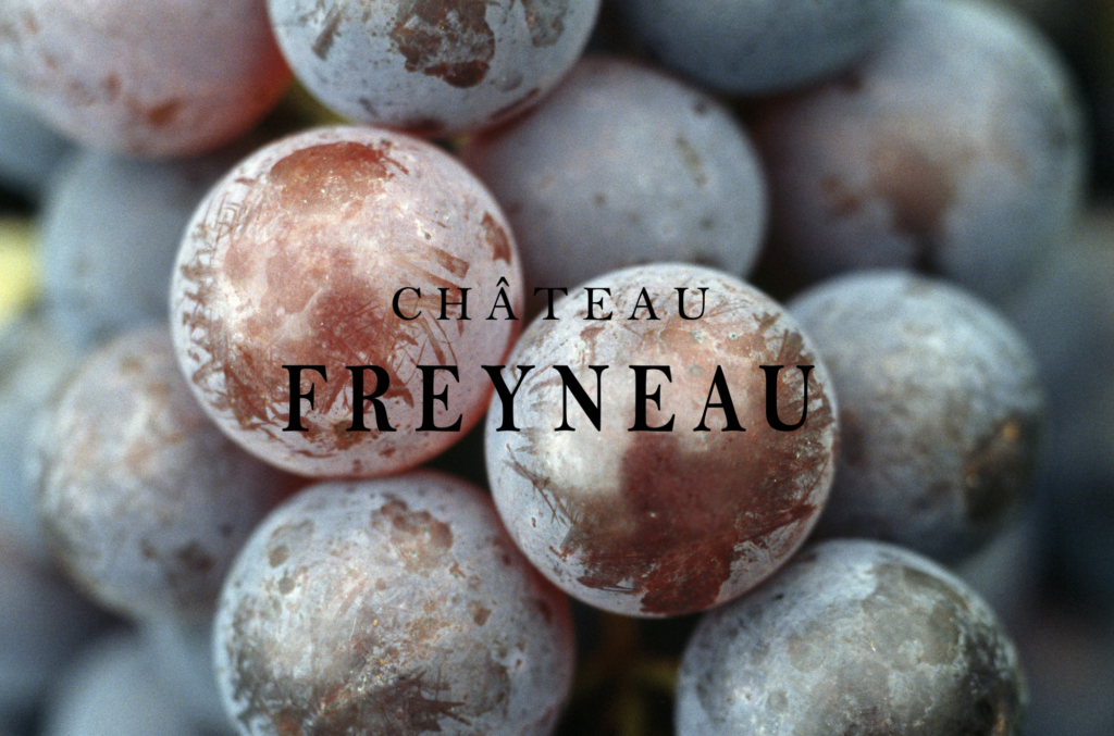 Le Vignoble Chateau Freyneau